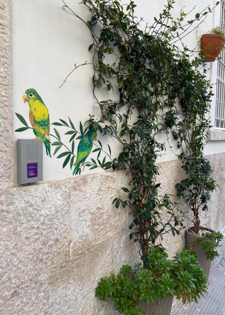 Iris Apartment, Comfort E Stile Nel Cuore Di Bisceglie Luaran gambar